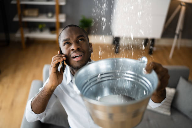 Best Emergency water damage restoration  in Woodville, FL