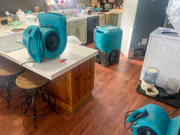 Best Water damage restoration near me  in Woodville, FL