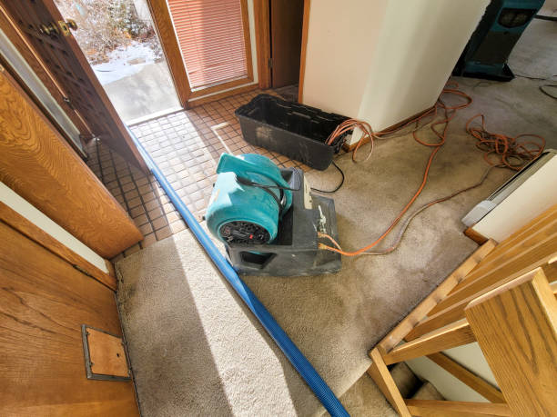 Best Carpet water damage restoration  in Woodville, FL