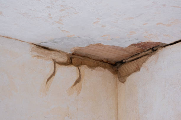Water damage restoration insurance claims in Woodville, FL