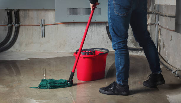 Best Water damage restoration services  in Woodville, FL
