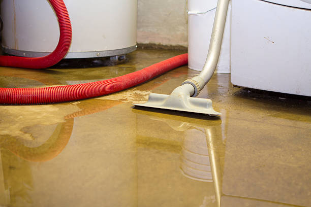 Reliable Woodville, FL Water damage restoration Solutions