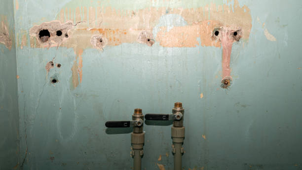 Best Water damage contractors near me  in Woodville, FL