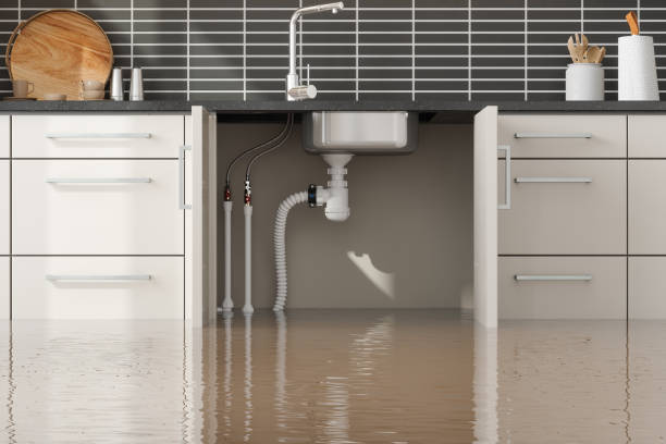 Best Ceiling water damage repair  in Woodville, FL