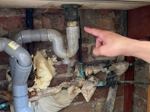 Best Sewage cleanup and water damage restoration  in Woodville, FL